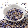 Baking Paint Glass Seed Beads SEED-S042-05A-17-2