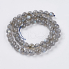Natural Labradorite Beads Strands G-G448-8mm-04B-2