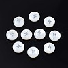 Natural Freshwater Shell Beads SHEL-N003-22-02P-1