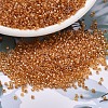 MIYUKI Delica Beads SEED-X0054-DB1702-1