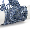 Natural Kyanite Beads Strands G-B088-E24-03A-5