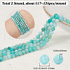 Beebeecraft 2Strands Natural Amazonite Beads Strands G-BBC0001-32-2