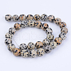 Natural Dalmatian Jasper Beads Strands G-Q462-10mm-30-3