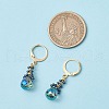 Glass Seed Beads Leverback Earrings EJEW-MZ00398-5