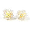 Resin Beads RESI-T059-01A-06-1