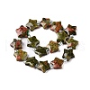 Natural Unakite Beads Strands G-T138-187-2