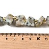 Raw Rough Natural Seaame Jasper Beads Strands G-Z087-A10-5