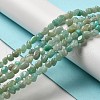 Natural Amazonite Beads Strands G-D081-A06-5