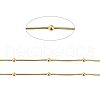 PVD Vacuum Plating 304 Stainless Steel Snake Chains CHS-P014-02G-2