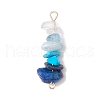 10Pcs 10 Styles Mixed Gemstone Chip Beaded Connector Charms PALLOY-JF02872-3