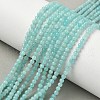 Natural Amazonite Beads Strands G-C201-A01-3mm-1