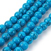 Synthetic Turquoise Beads Strands G-E511-02-8mm-1