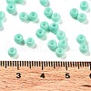 Baking Paint Glass Seed Beads SEED-H002-I-B506-4