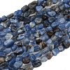 Natural Kyanite Beads Strands G-Q060-E17-2