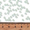 8/0 Glass Seed Beads SEED-Z001-C-E05-4