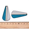 Transparent Resin & Wood Pendants RESI-T057-54A-3