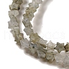 Natural Labradorite Beads Strands G-G085-B25-01-3