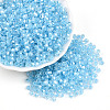 Glass Seed Beads SEED-N007-01D-1