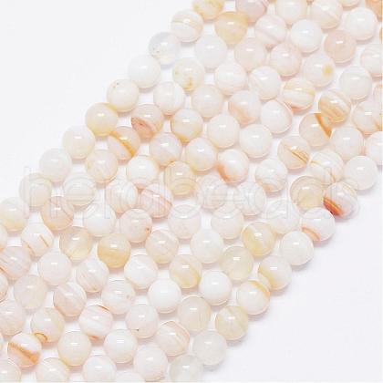 Natural Stripe Agate Beads Strands G-F425-19-1