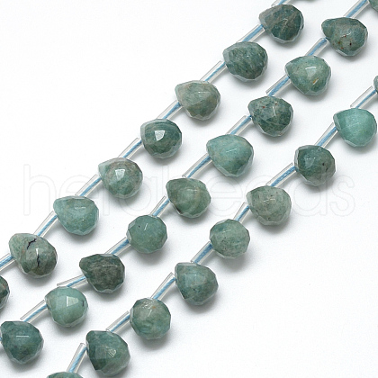 Natural Amazonite Beads Strands G-R435-15I-1