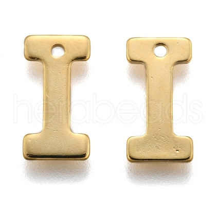 304 Stainless Steel Charms STAS-P141-I-1