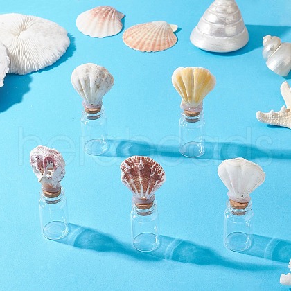 Natural Scallop Shell Beads with Glass Jar Glass Bottles PALLOY-JF03748-1