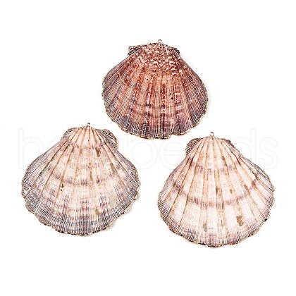 Electroplate Sea Shell Big Pendants SHEL-T012-47-1