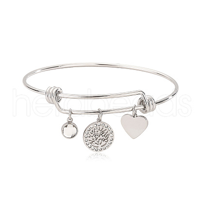 Stainless Steel Micro Pave Cubic Zirconia Charm Bangles  PW-WG9247A-02-1