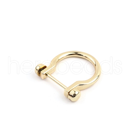 Zinc Alloy D-Rings Shackle PW-WGEC3F6-01-1