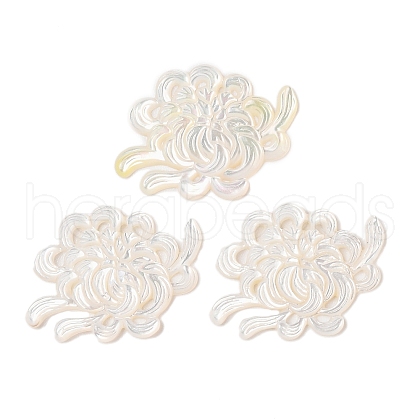 Natural White Shell Carved Cabochons SSHEL-C012-24C-1