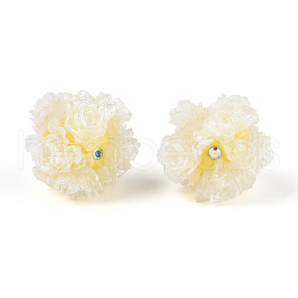 Resin Beads RESI-T059-01A-06-1