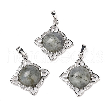 Natural Labradorite Pendants G-M385-06P-B-1