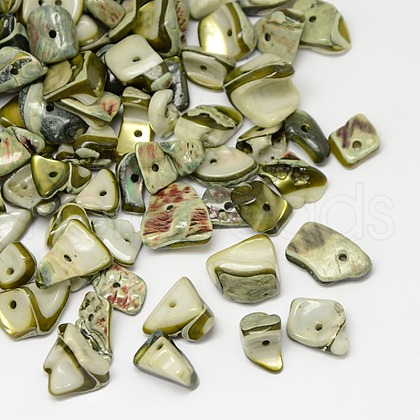 Dyed Natural Freshwater Shell Chips Beads SHEL-A003-E03-1