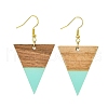 Resin & Walnut Wood Triangle Dangle Earrings EJEW-JE05505-03-1