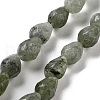 Natural Labradorite Beads Strands G-P520-B05-01-1