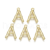 Alloy Pendants PALLOY-S137-001A-NR-1