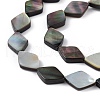 Natural Black Lip Shell Beads Strands SHEL-M018-16-3