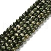 Natural Diopside Beads Strands G-R006-A01-02-1