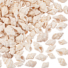Natural Spiral Shell Beads BSHE-PH0001-03-1