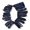 Natural Sodalite Beads Strands G-S386-D19-3