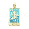 Rack Plating Brass Micro Pave Clear Cubic Zirconia Pendants KK-S371-02G-01-1