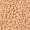 Baking Paint Glass Seed Beads SEED-T006-03E-2