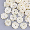 Natural White Shell Beads SSHEL-R045-23-1