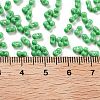 Baking Paint Glass Seed Beads X1-SEED-A033-05Q-4