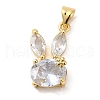 Rack Plating Brass Micro Pave Cubic Zirconia Pendants KK-P241-20G-05-1