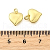 Brass Pendants KK-I275-10G-02-3