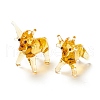 Handmade Lampwork Beads LAMP-D015-05-2