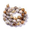 Natural Fossil Coral Beads Strands G-A030-B02-10mm-2