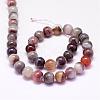 Natural Botswana Agate Beads Strands G-P132-05-10mm-2