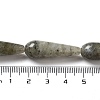 Natural Labradorite Beads Strands G-P528-H04-01-5